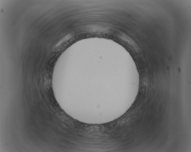 X0000087410869200705181355