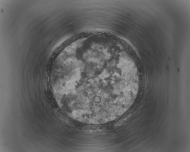 X0000087410871200705181355