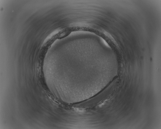 X0000087410872200705181355