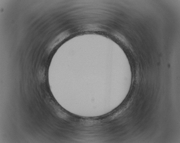 X0000087410873200705181355