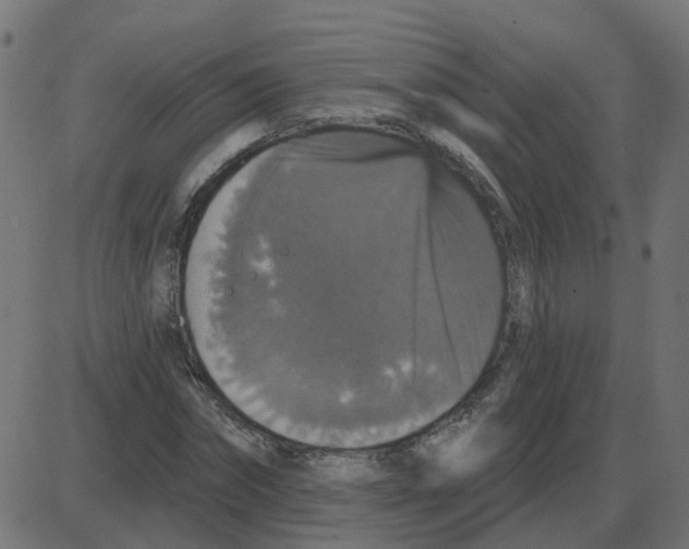 X0000087410874200705181355