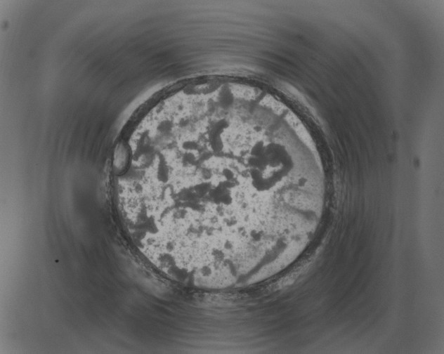 X0000087410875200705181355