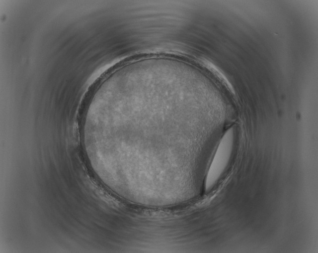 X0000087410876200705181355