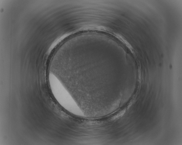 X0000087410877200705181355