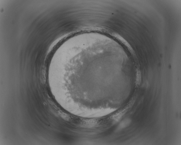 X0000087410878200705181355