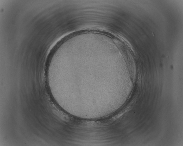 X0000087410880200705181355