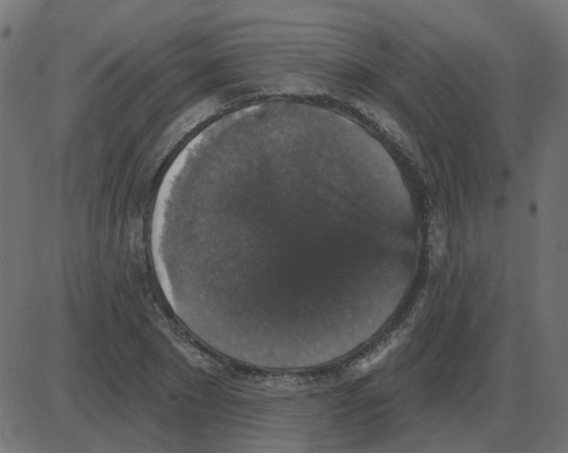 X0000087410881200705181355