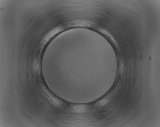 X0000087410882200705181355