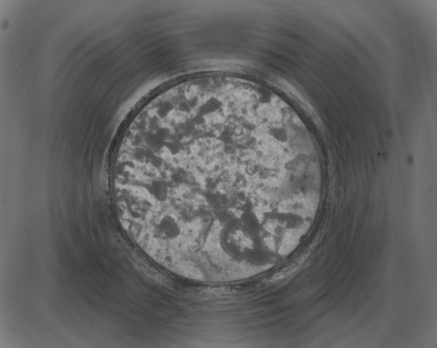 X0000087410883200705181355