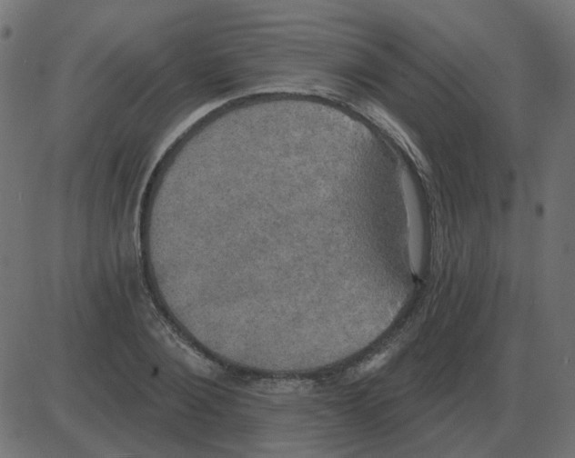 X0000087410884200705181355