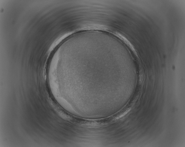 X0000087410885200705181355