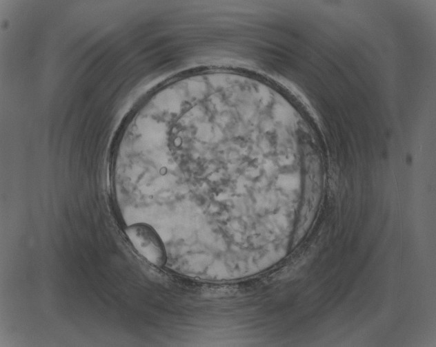 X0000087410887200705181355