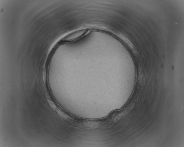 X0000087410888200705181355