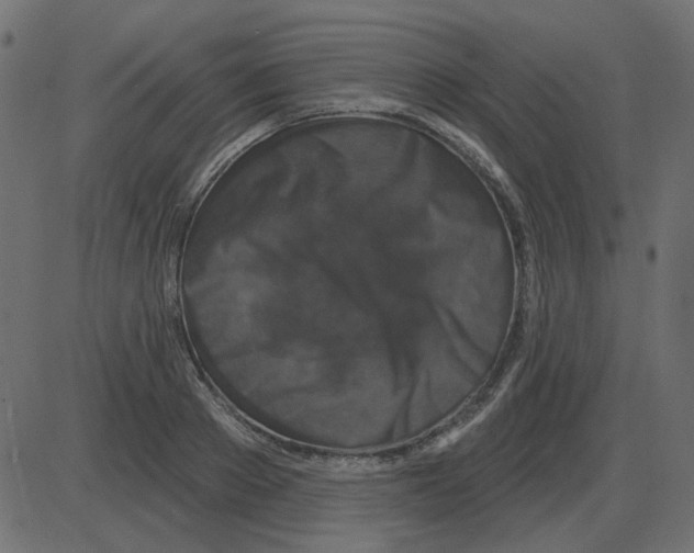 X0000087410889200705181355