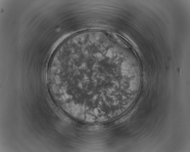 X0000087410891200705181355