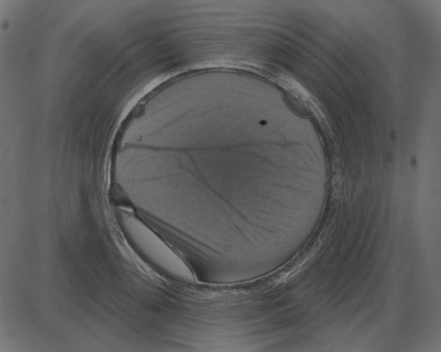 X0000087410892200705181354