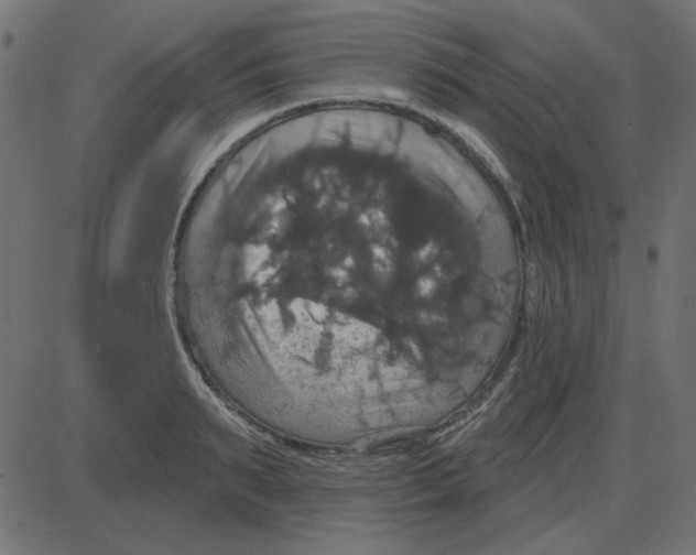 X0000087410895200705181354