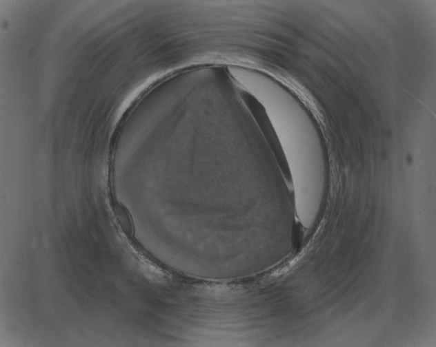 X0000087410896200705181354