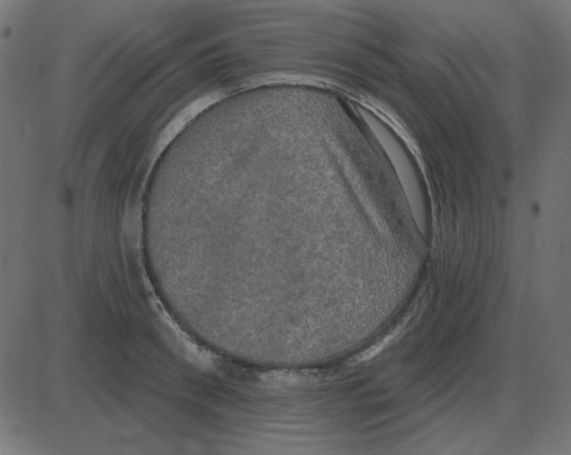 X0000087410898200705181354