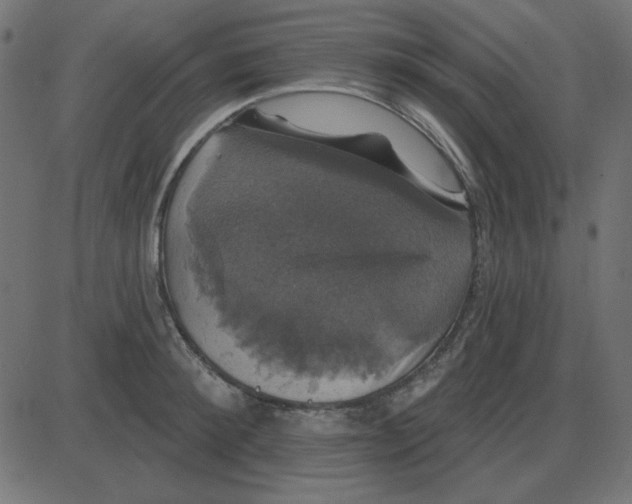 X0000087410900200705181354