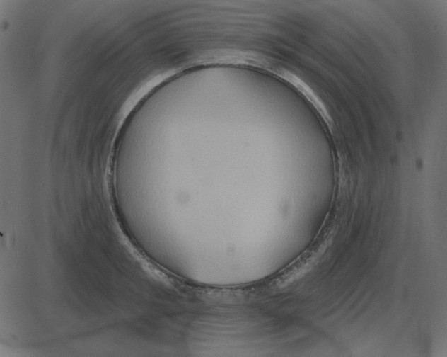 X0000087410901200705181354