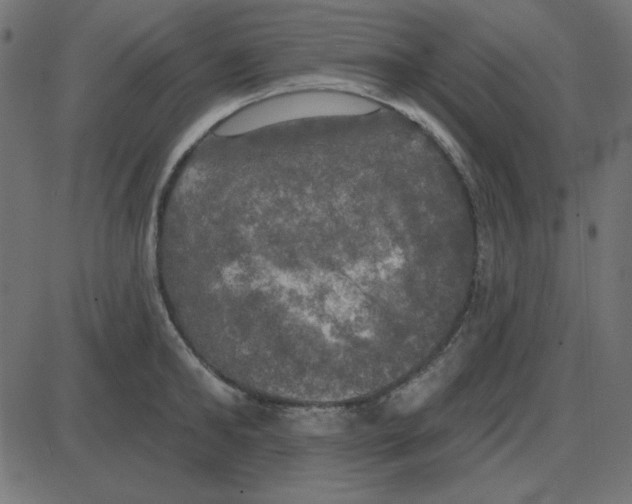 X0000087410902200705181354