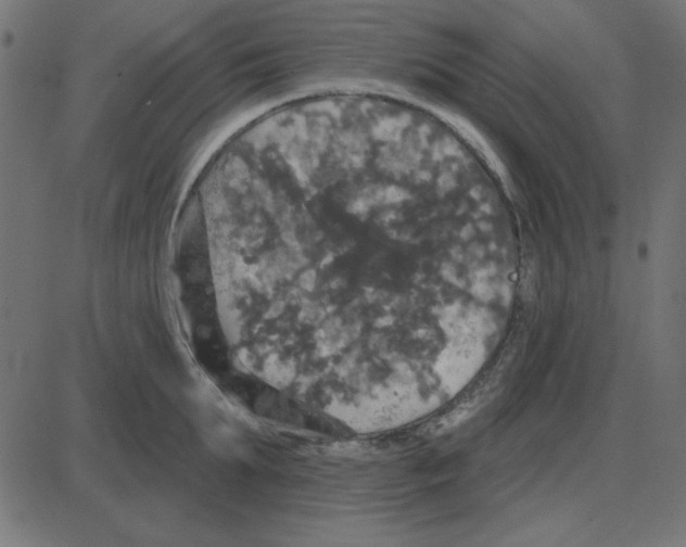 X0000087410903200705181354