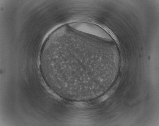 X0000087410904200705181354