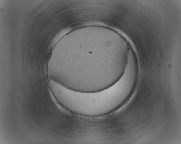 X0000087410905200705181354