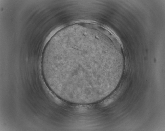 X0000087410906200705181354