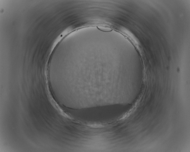 X0000087410907200705181354