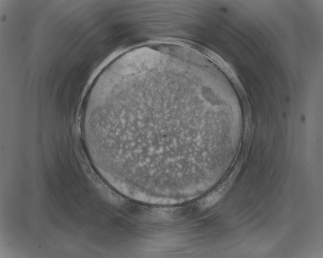 X0000087410908200705181354