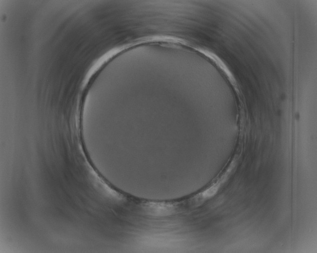 X0000087410910200705181354