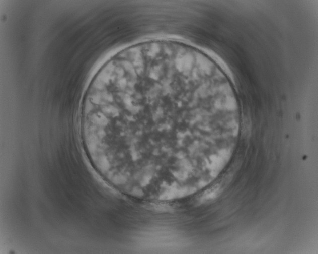 X0000087410911200705181354