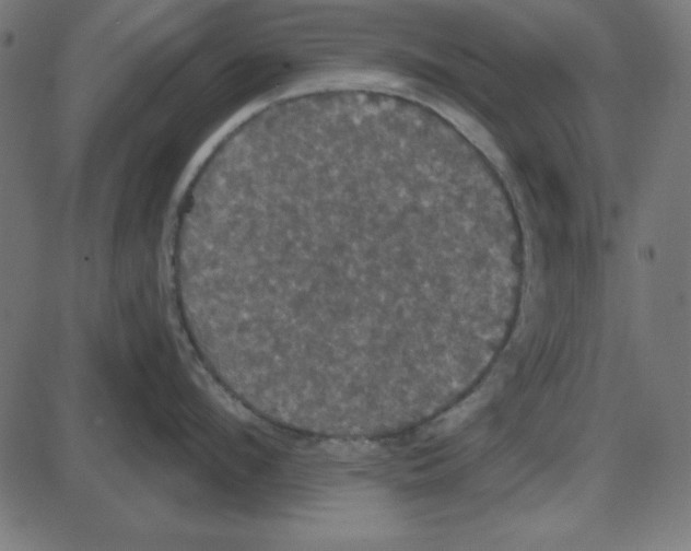 X0000087410912200705181354