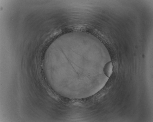 X0000087410913200705181353