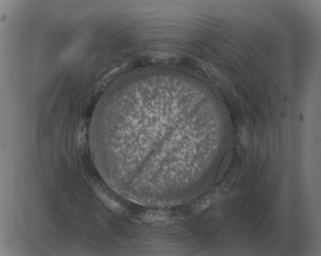 X0000087410914200705181353