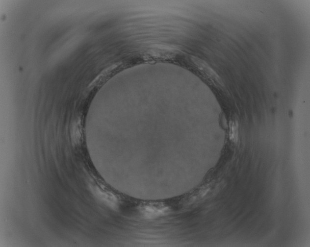 X0000087410915200705181353