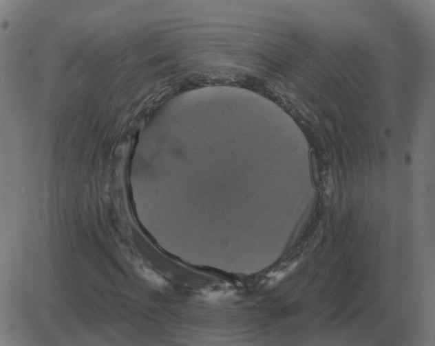 X0000087410916200705181353