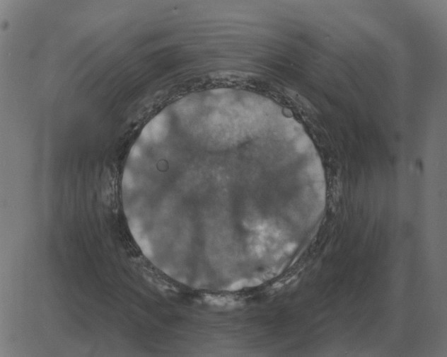 X0000087410917200705181353