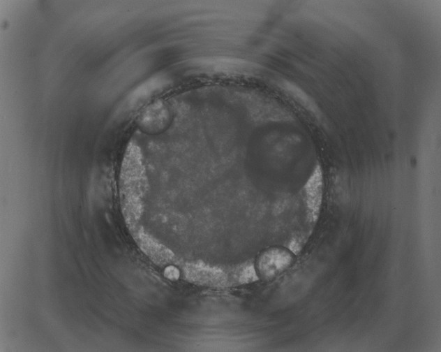 X0000087410918200705181353