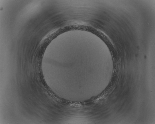 X0000087410919200705181353