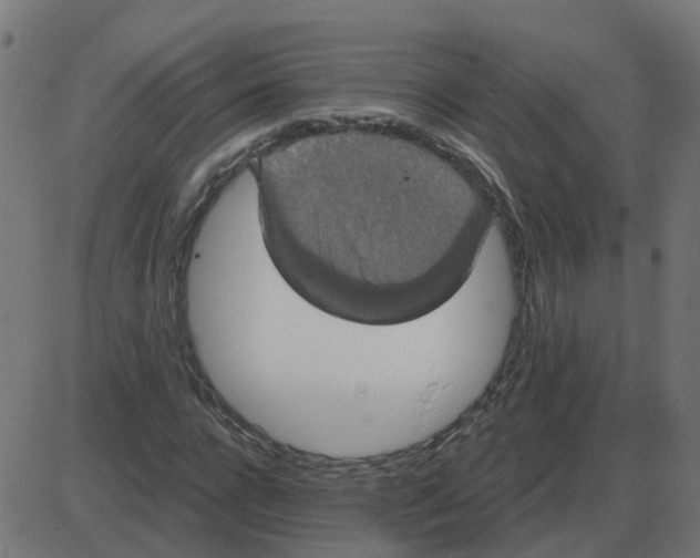 X0000087410920200705181353