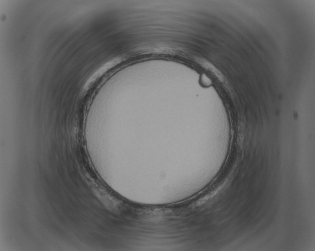 X0000087410922200705181354