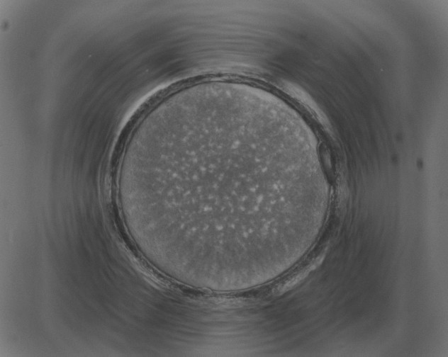 X0000087410924200705181354