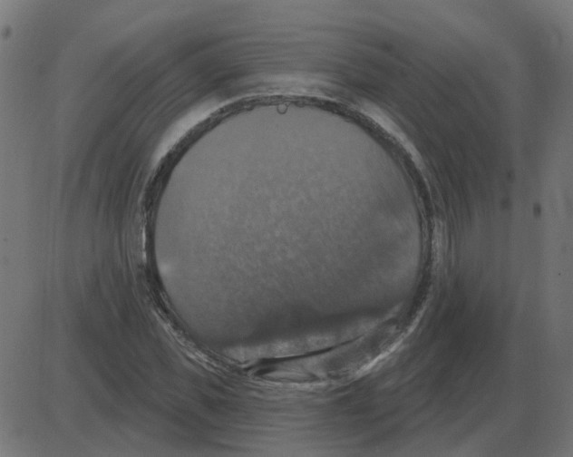 X0000087410925200705181354