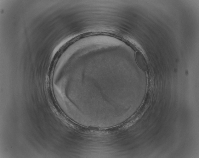 X0000087410928200705181354