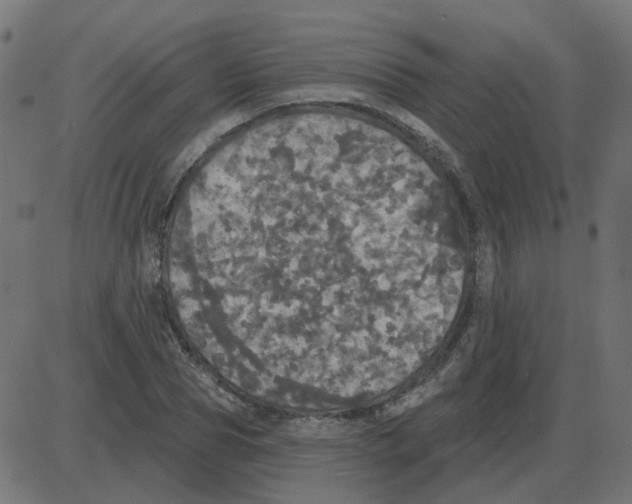 X0000087410929200705181354