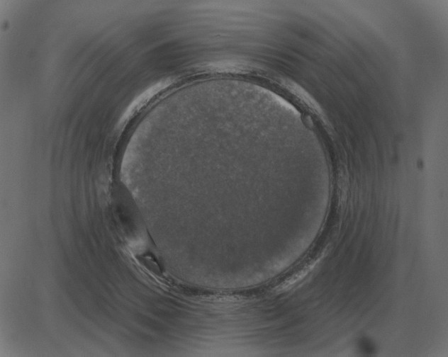 X0000087410930200705181354