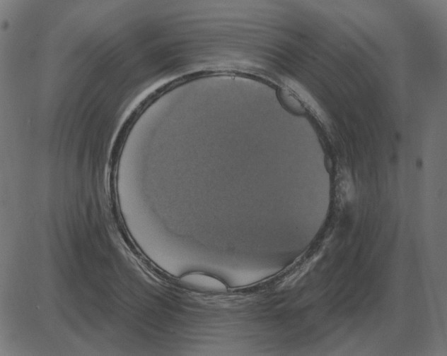 X0000087410932200705181354